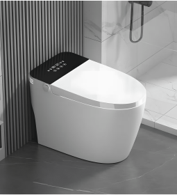 Integrated Bidet Toilet (Option: White ceramic)